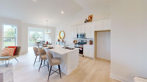 Tiny photo for Lot 12 W Orchid Lane #3, Channahon, IL 60410 (MLS # 12617102)