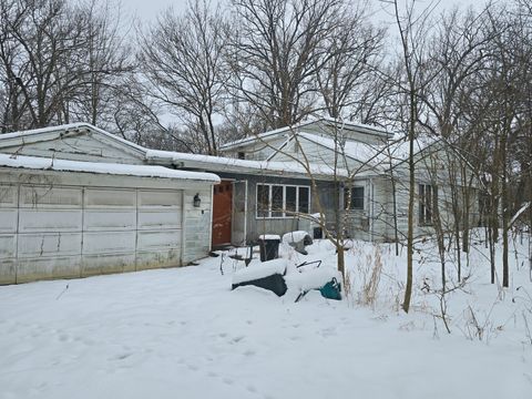 Tiny photo for 3100 N 17060 Road E, Momence, IL 60954 (MLS # 12536331)