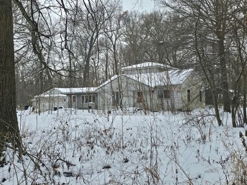 Tiny photo for 3100 N 17060 Road E, Momence, IL 60954 (MLS # 12536331)