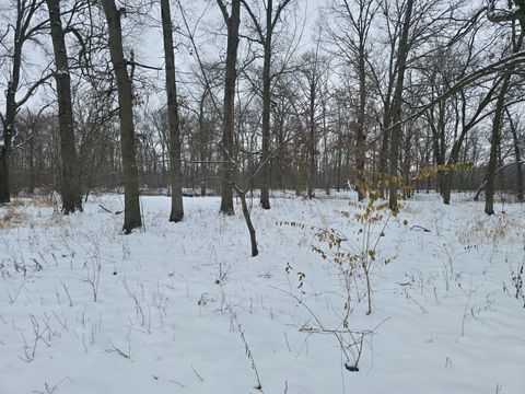 Tiny photo for 3100 N 17060 Road E, Momence, IL 60954 (MLS # 12536331)