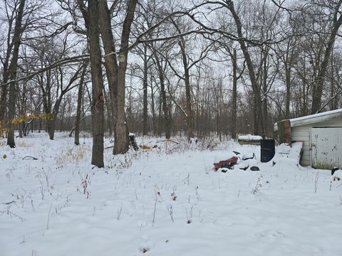 Tiny photo for 3100 N 17060 Road E, Momence, IL 60954 (MLS # 12536331)