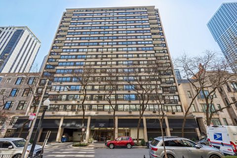 33 E Cedar Street 11A Chicago IL 60611
