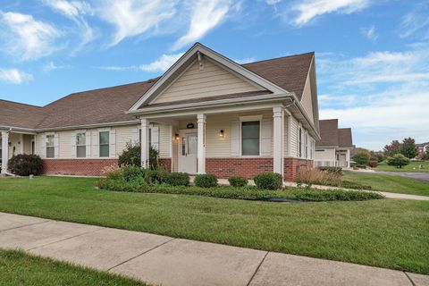 19937 Burnside Court Olympia Fields IL 60461