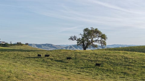 Tiny photo for 35 Wellsona Road, Paso Robles, CA 93446 (MLS # 12762960)