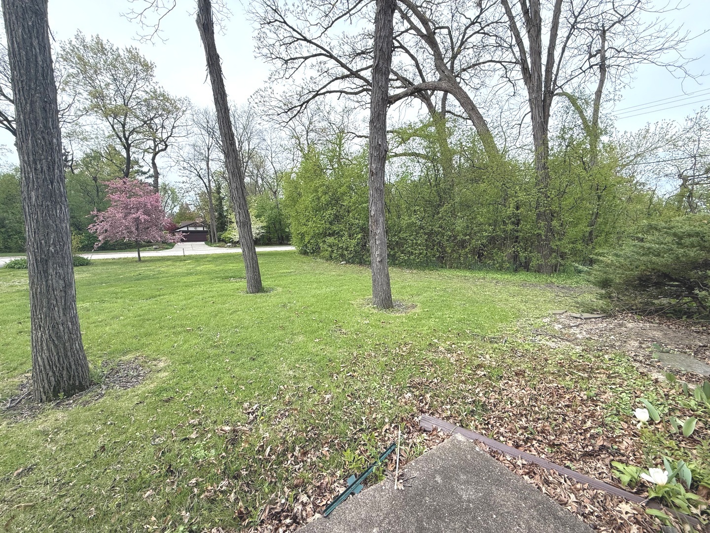 980 Mellody Road