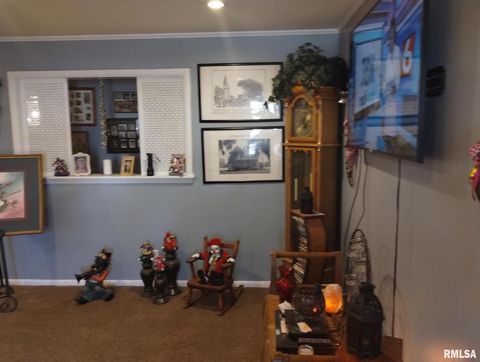 Tiny photo for 600 S SKYLINE Drive, Carbondale, IL 62901 (MLS # EB457079)