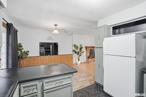 Tiny photo for 338 BENTON Street, Le Claire, IA 52753 (MLS # QC4269592)