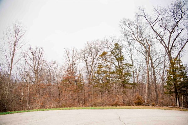 4605 BARBARA JANE CT, QUINCY, IL 62305 - Image 679f04e043aee3aa00365cbc852be00a/448847703