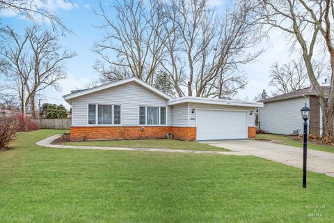 Mount Prospect IL 60056