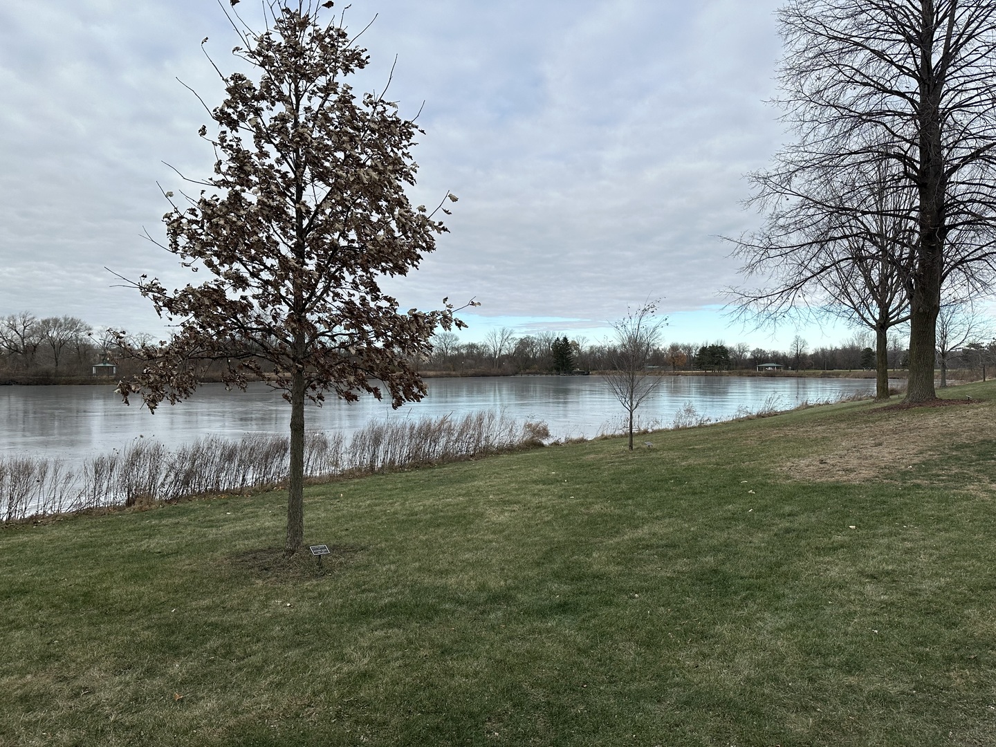 1250 N Streamwood Lane 338