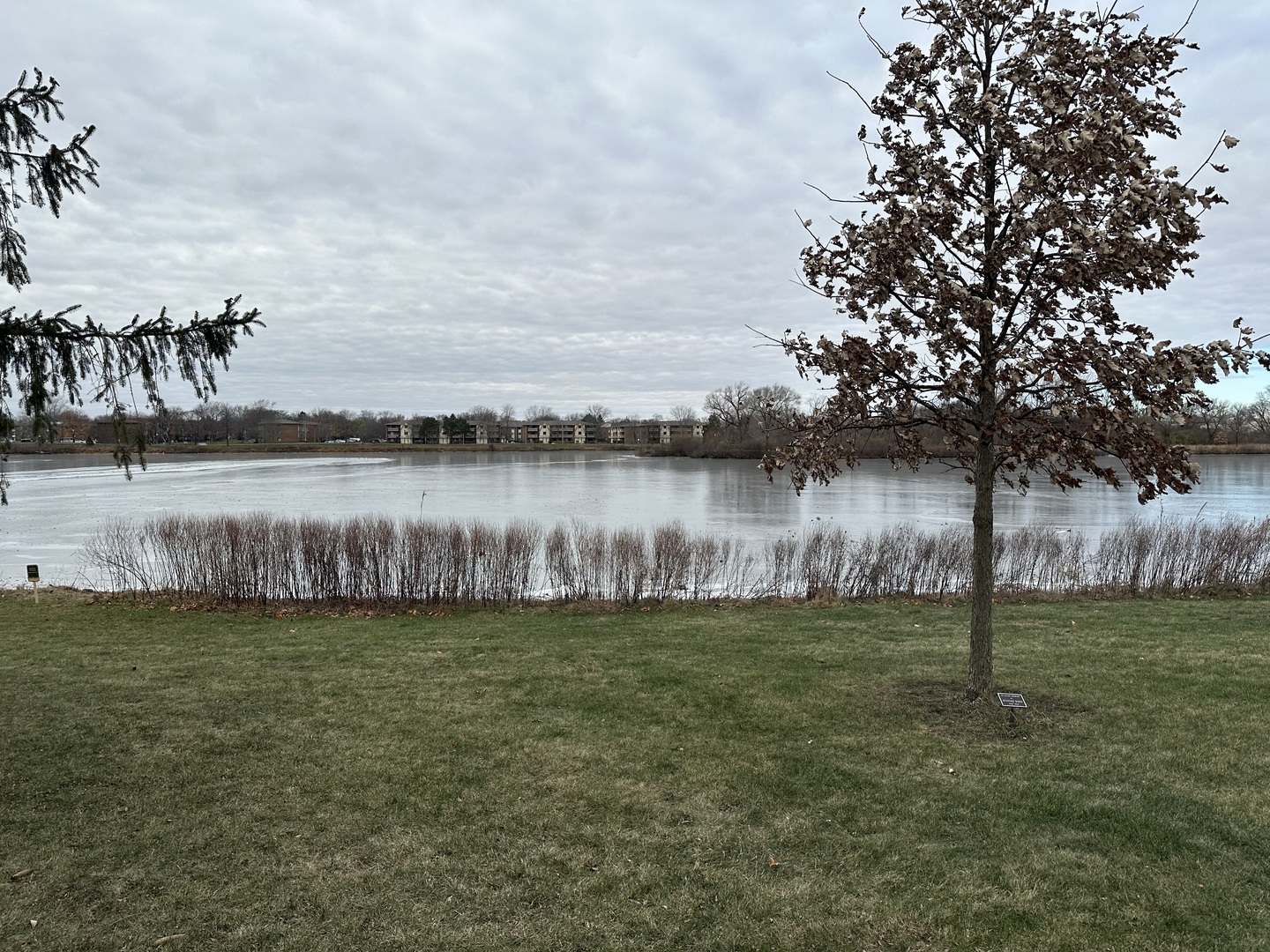 1250 N Streamwood Lane 338