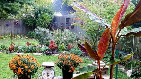 Tiny photo for 707 W Main Street, Urbana, IL 61801 (MLS # 12529872)