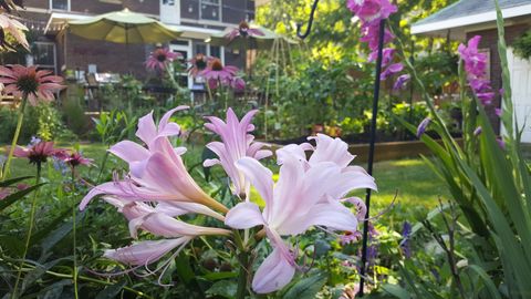 Tiny photo for 707 W Main Street, Urbana, IL 61801 (MLS # 12529872)