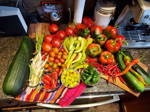 Tiny photo for 707 W Main Street, Urbana, IL 61801 (MLS # 12529872)