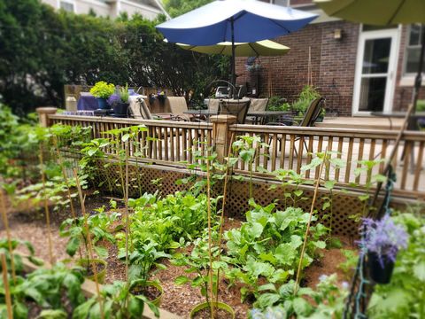 Tiny photo for 707 W Main Street, Urbana, IL 61801 (MLS # 12529872)