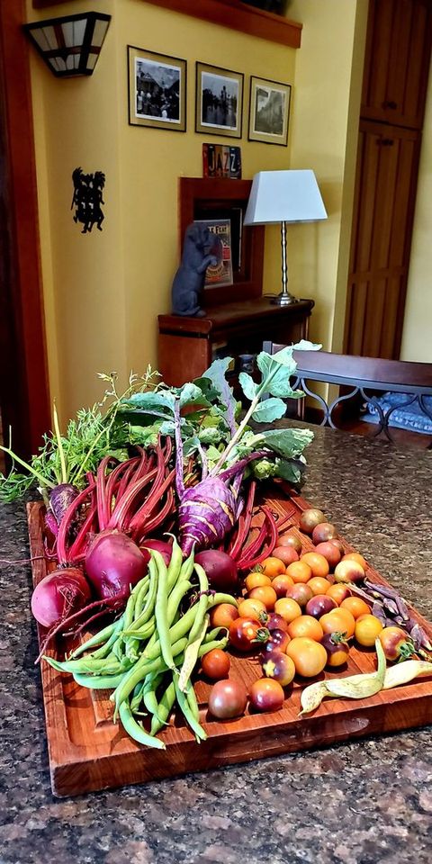 Tiny photo for 707 W Main Street, Urbana, IL 61801 (MLS # 12529872)