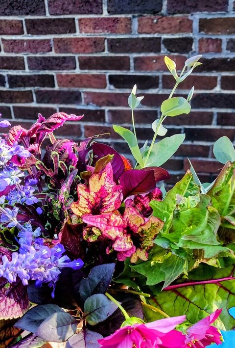 Tiny photo for 707 W Main Street, Urbana, IL 61801 (MLS # 12529872)