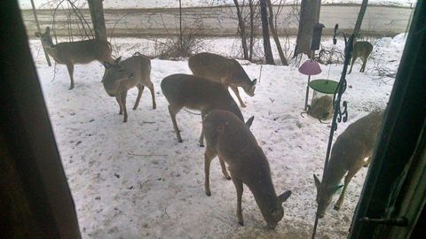 Tiny photo for 2651 N 45th. Road, Sandwich, IL 60548 (MLS # 12596285)