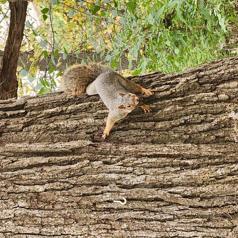 Tiny photo for 2651 N 45th. Road, Sandwich, IL 60548 (MLS # 12596285)