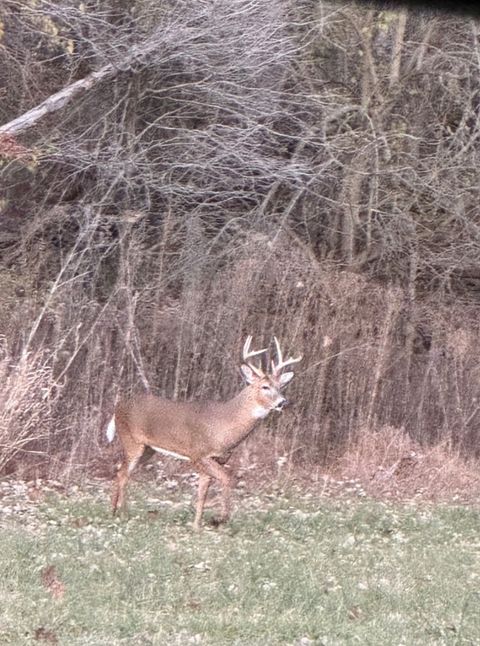 Tiny photo for 2651 N 45th. Road, Sandwich, IL 60548 (MLS # 12596285)