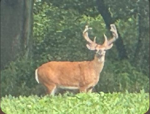 Tiny photo for 2651 N 45th. Road, Sandwich, IL 60548 (MLS # 12596285)