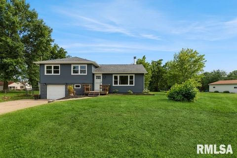 Tiny photo for 814 JONES Street, Le Claire, IA 52753 (MLS # QC4265722)