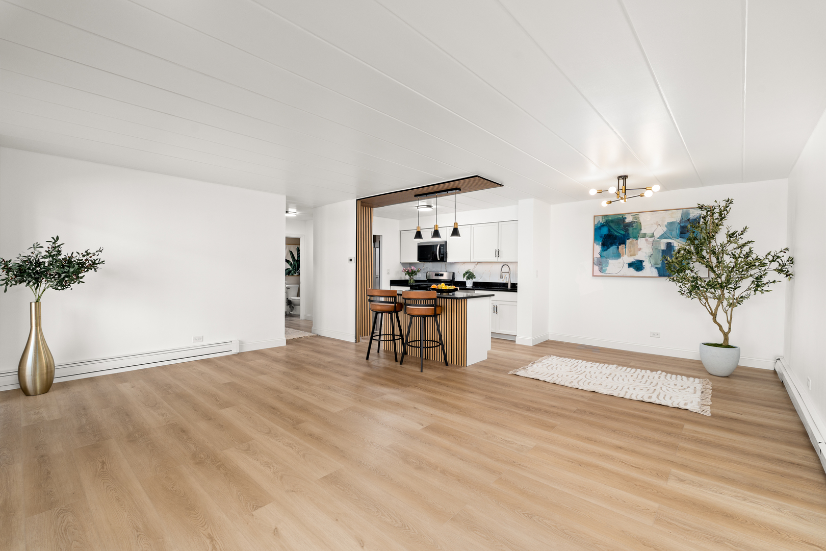 1001 N Mill Street 203