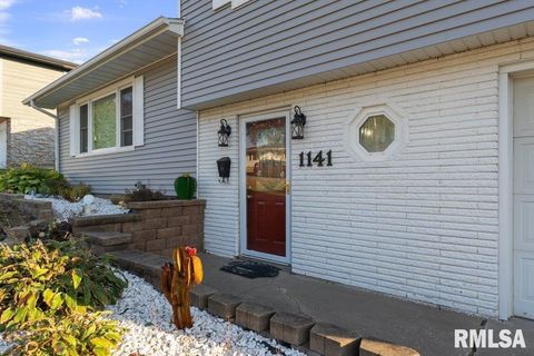 Tiny photo for 1141 6TH Avenue N, Clinton, IA 52732 (MLS # QC4268490)
