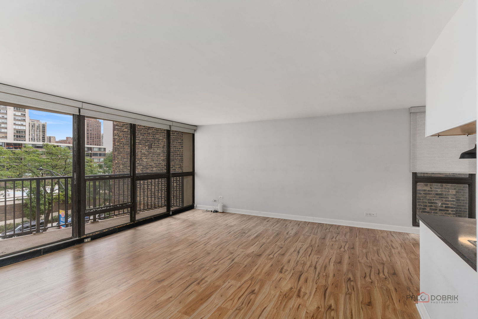 1540 N La Salle Drive 301