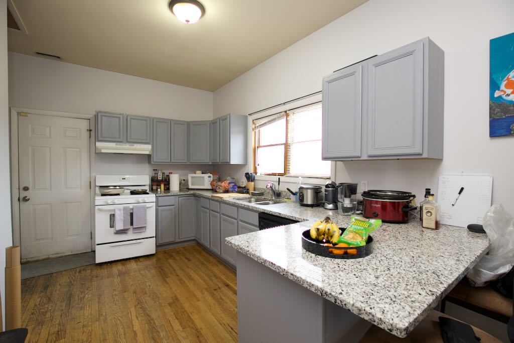 1342 W Hubbard Street 3R