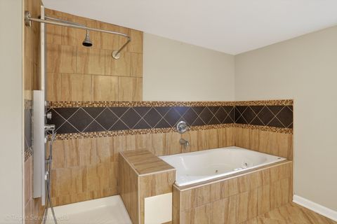 Tiny photo for Chicago, IL 60617 (MLS # 12633144)