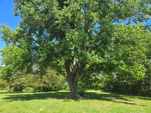 Tiny photo for 956 Auburn Lane SE, Goreville, IL 62939 (MLS # 12683465)