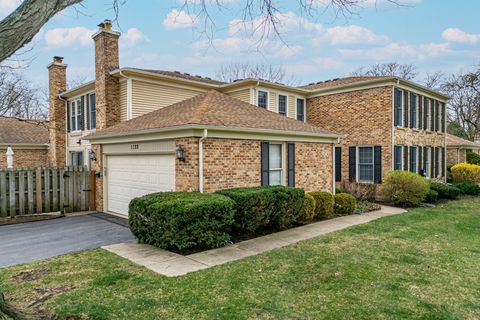 Photo of 1122 Creekside Drive, Wheaton, IL 60189 (MLS # 12603734)