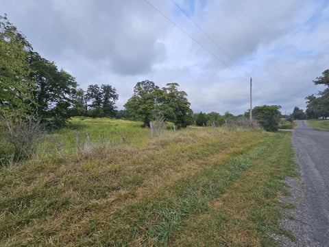 Tiny photo for 4165 Black Diamond Road, Nashville, IL 62263 (MLS # 12770225)