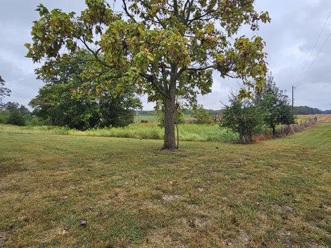 Tiny photo for 4165 Black Diamond Road, Nashville, IL 62263 (MLS # 12770225)