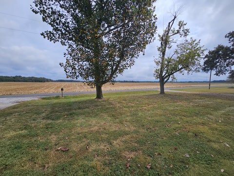 Tiny photo for 4165 Black Diamond Road, Nashville, IL 62263 (MLS # 12770225)