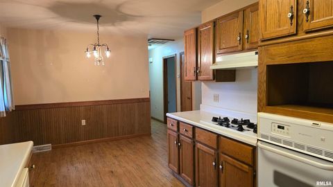 Tiny photo for 400 Old Broughton Road, Eldorado, IL 62930 (MLS # EB458344)