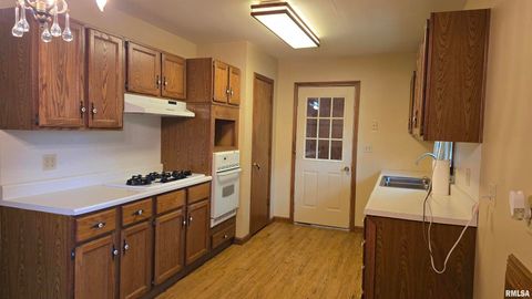 Tiny photo for 400 Old Broughton Road, Eldorado, IL 62930 (MLS # EB458344)