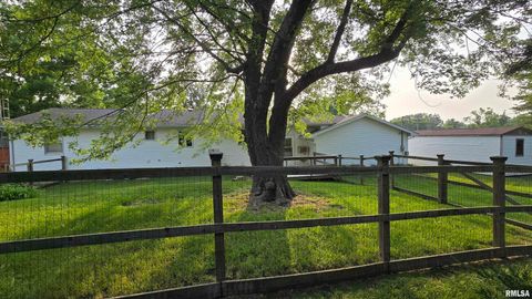 Tiny photo for 400 Old Broughton Road, Eldorado, IL 62930 (MLS # EB458344)