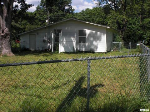 Tiny photo for 216 S PECAN Street, Desoto, IL 62924 (MLS # EB459009)