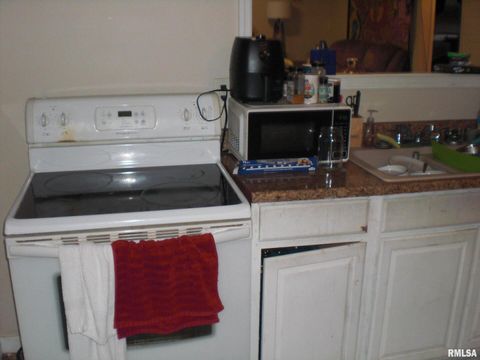 Tiny photo for 216 S PECAN Street, Desoto, IL 62924 (MLS # EB459009)