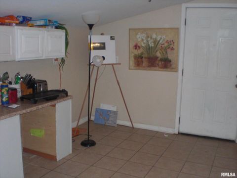 Tiny photo for 216 S PECAN Street, Desoto, IL 62924 (MLS # EB459009)