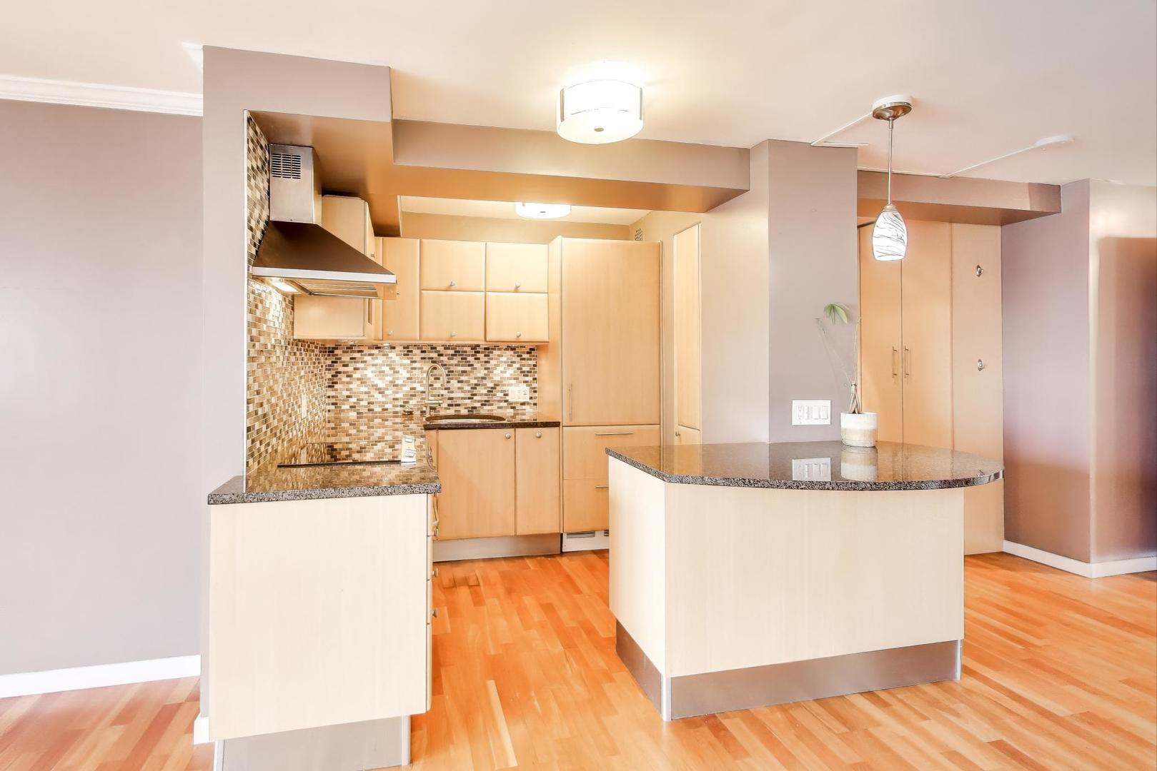 2909 N Sheridan Road 1807