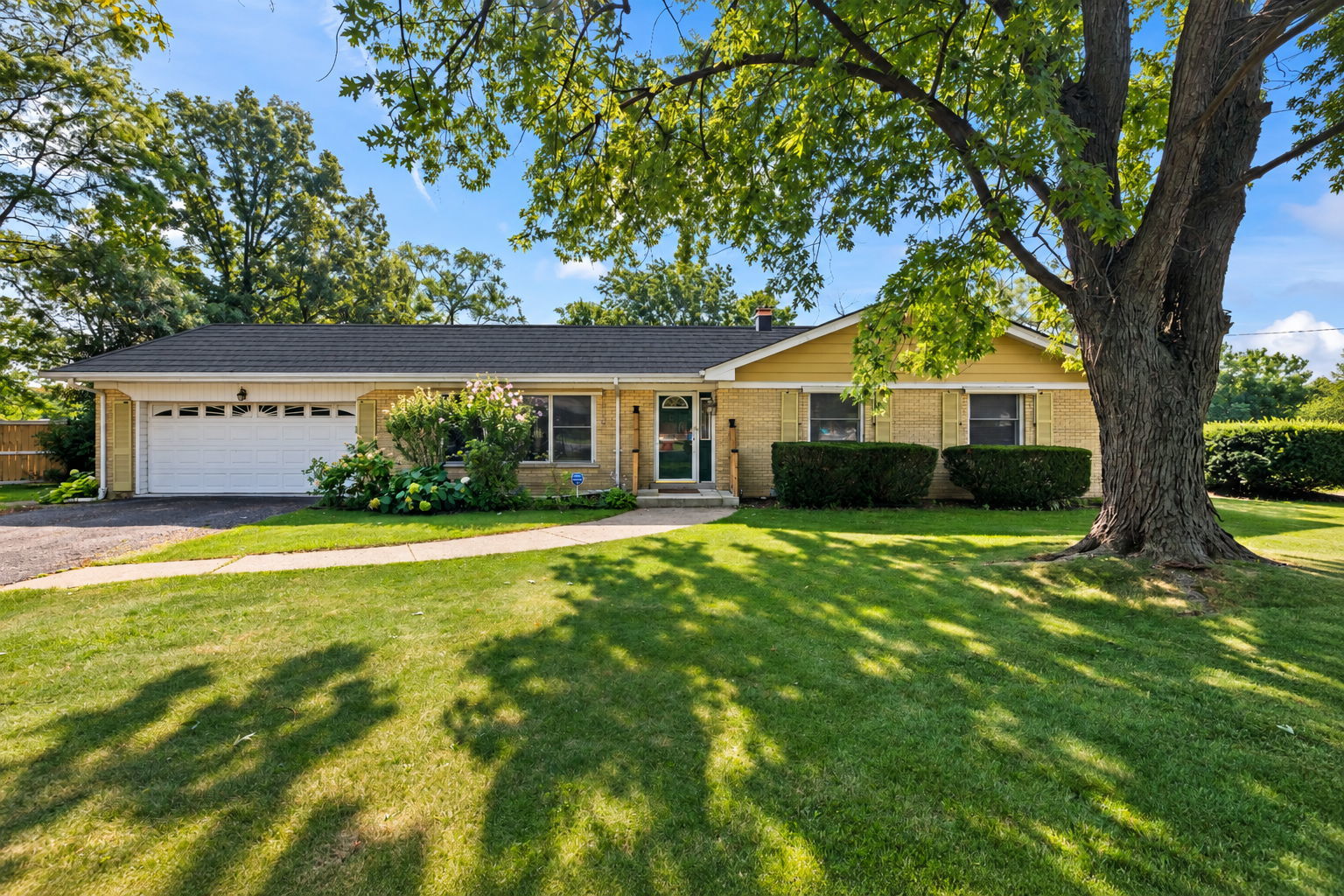 6231 Linden Lane
