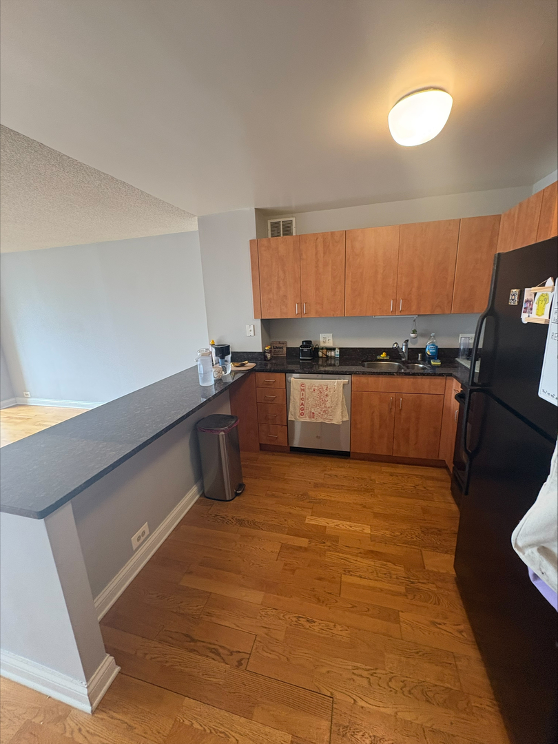 474 N Lake Shore Drive 2307