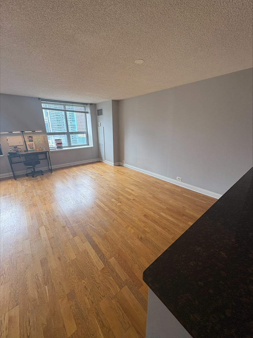 474 N Lake Shore Drive 2307
