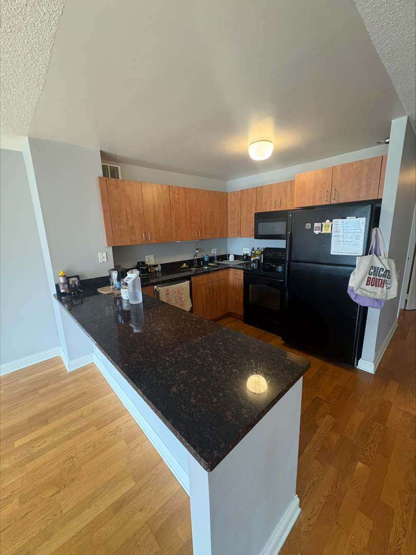 474 N Lake Shore Drive 2307
