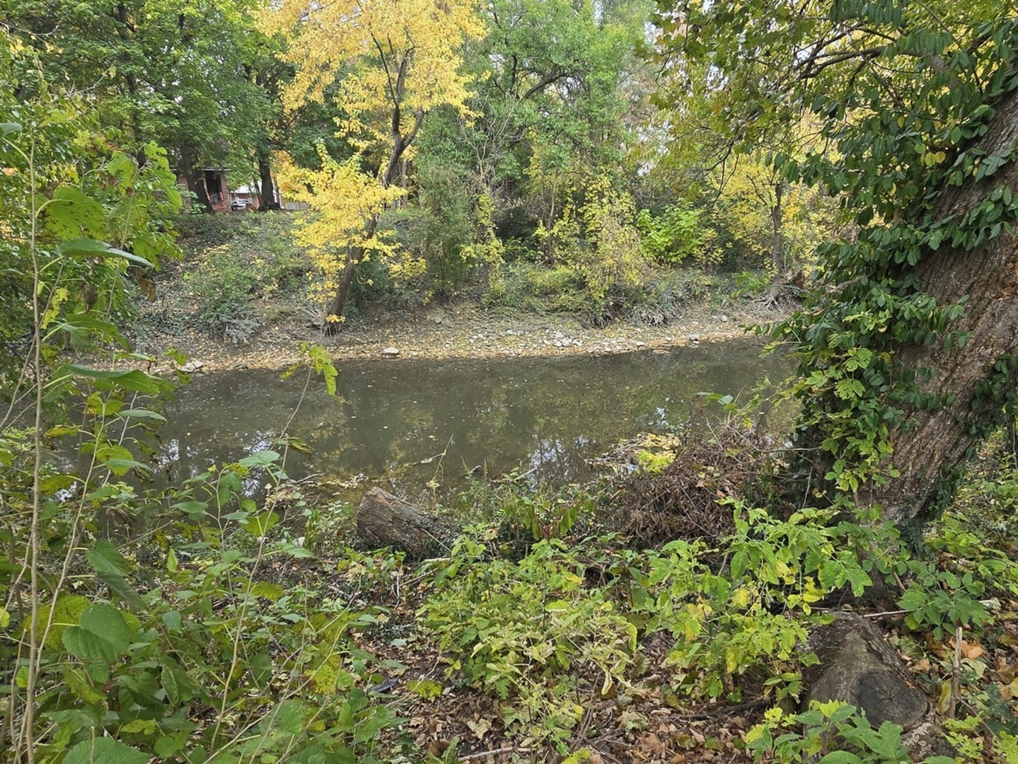 Harvey, Illinois 60426, United States, 3 Bedrooms Bedrooms, ,2 BathroomsBathrooms,Residential,Active,253090