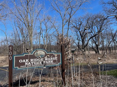 Tiny photo for 207 Lions Court, Lake Zurich, IL 60047 (MLS # 12599298)