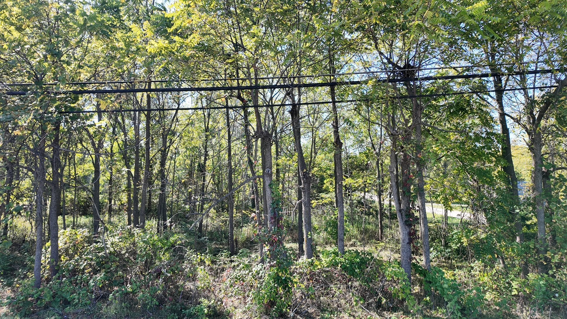 22031 W Spruce Drive